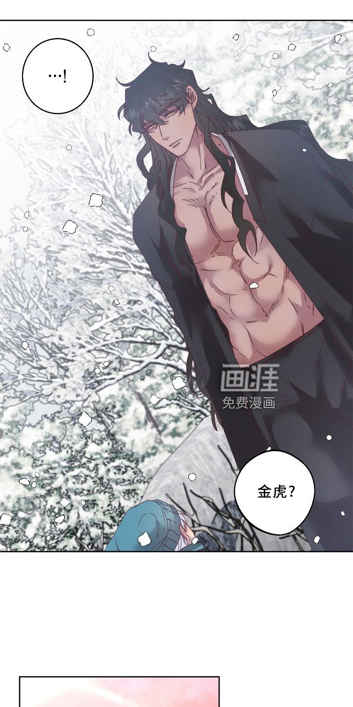 第46章：保护