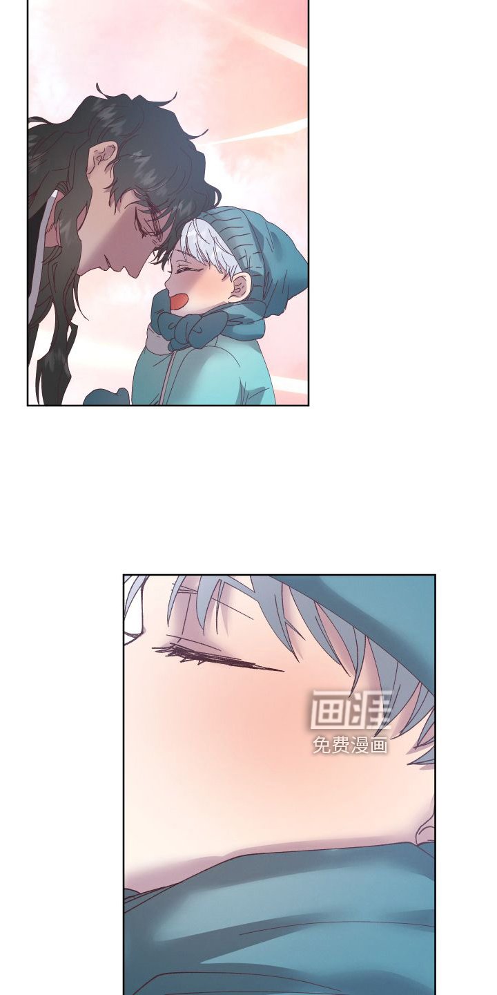 第46章：保护
