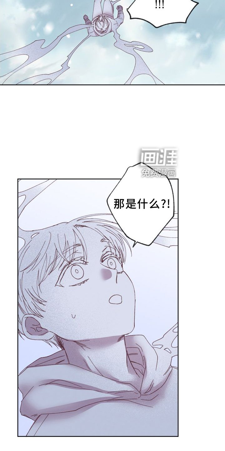 第46章：保护