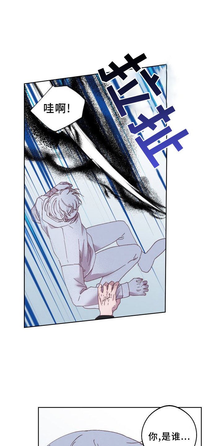第46章：保护