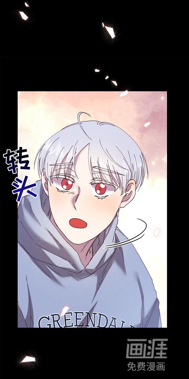 第48章：瞎话