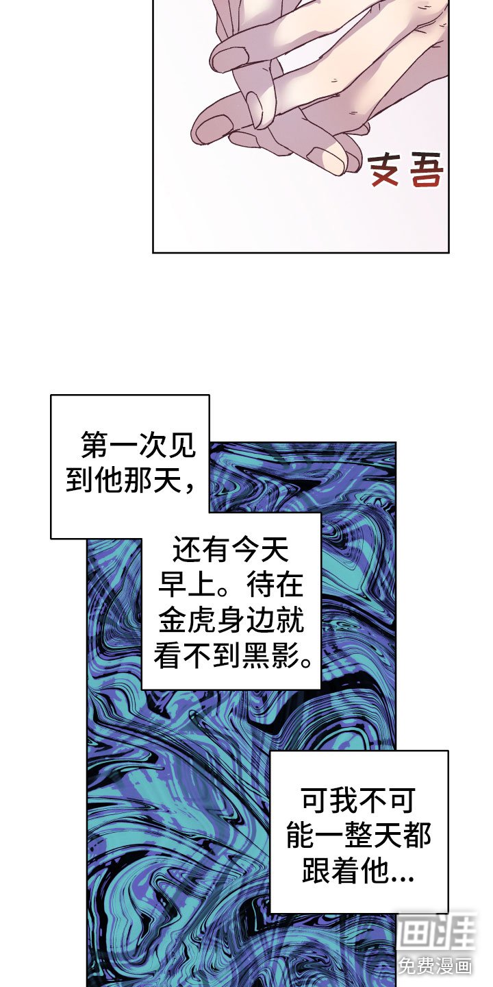 第5章：怎么办