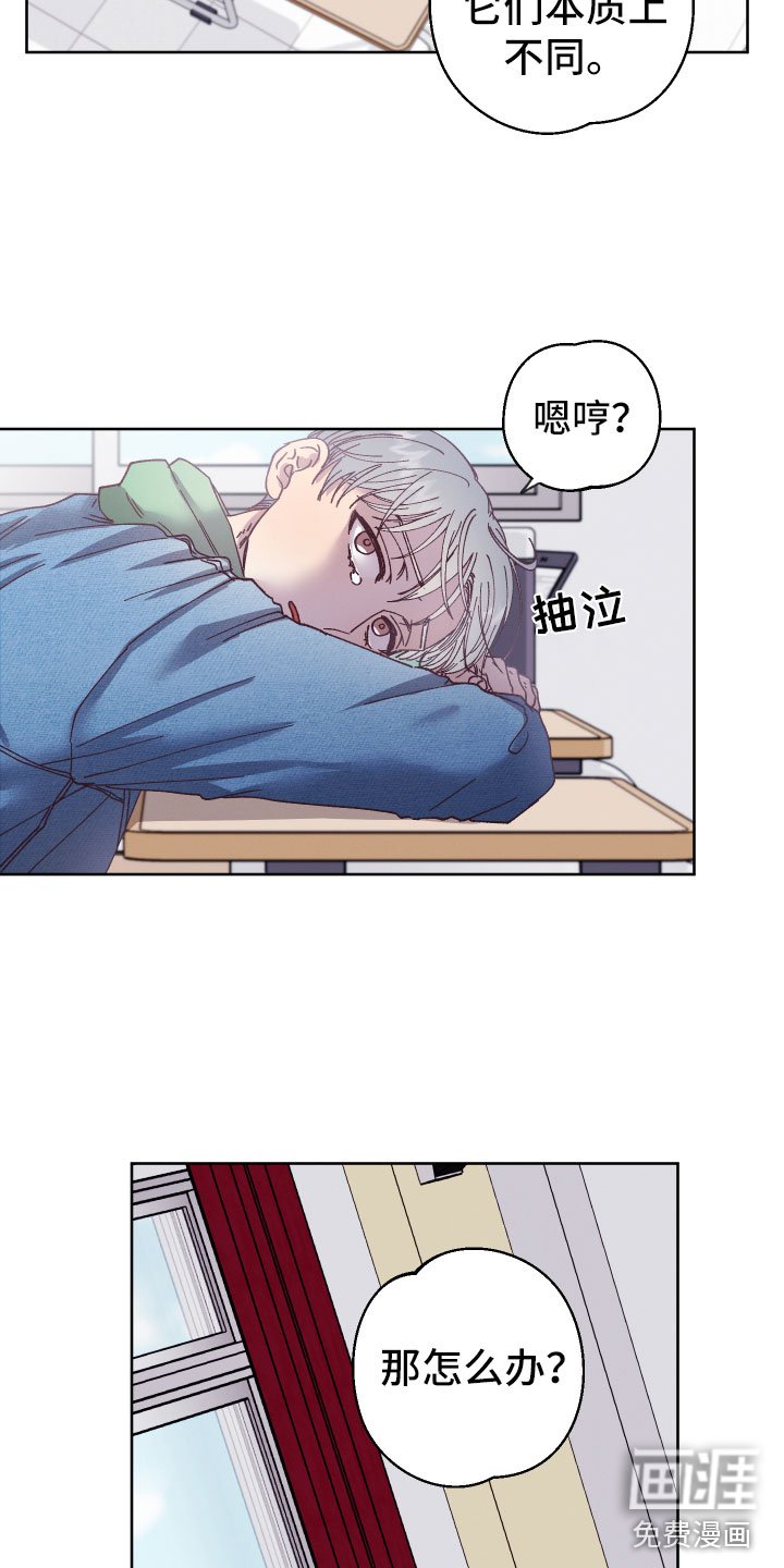 第5章：怎么办