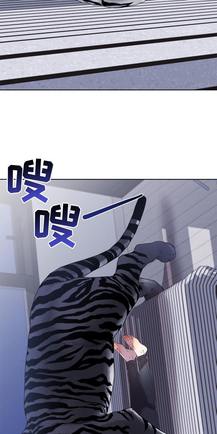 第51章：拯救