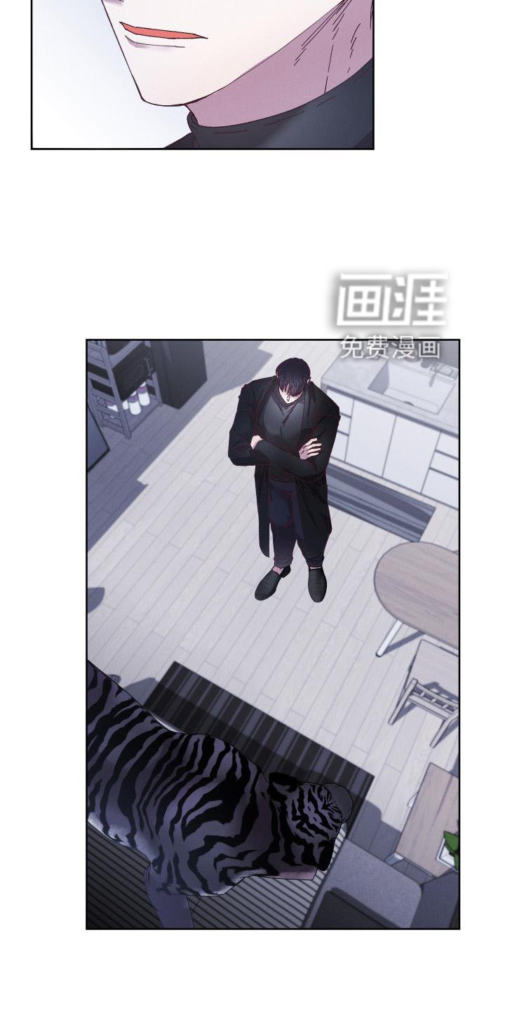第51章：拯救