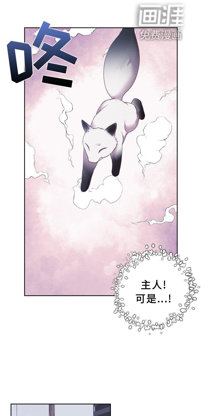 第51章：拯救