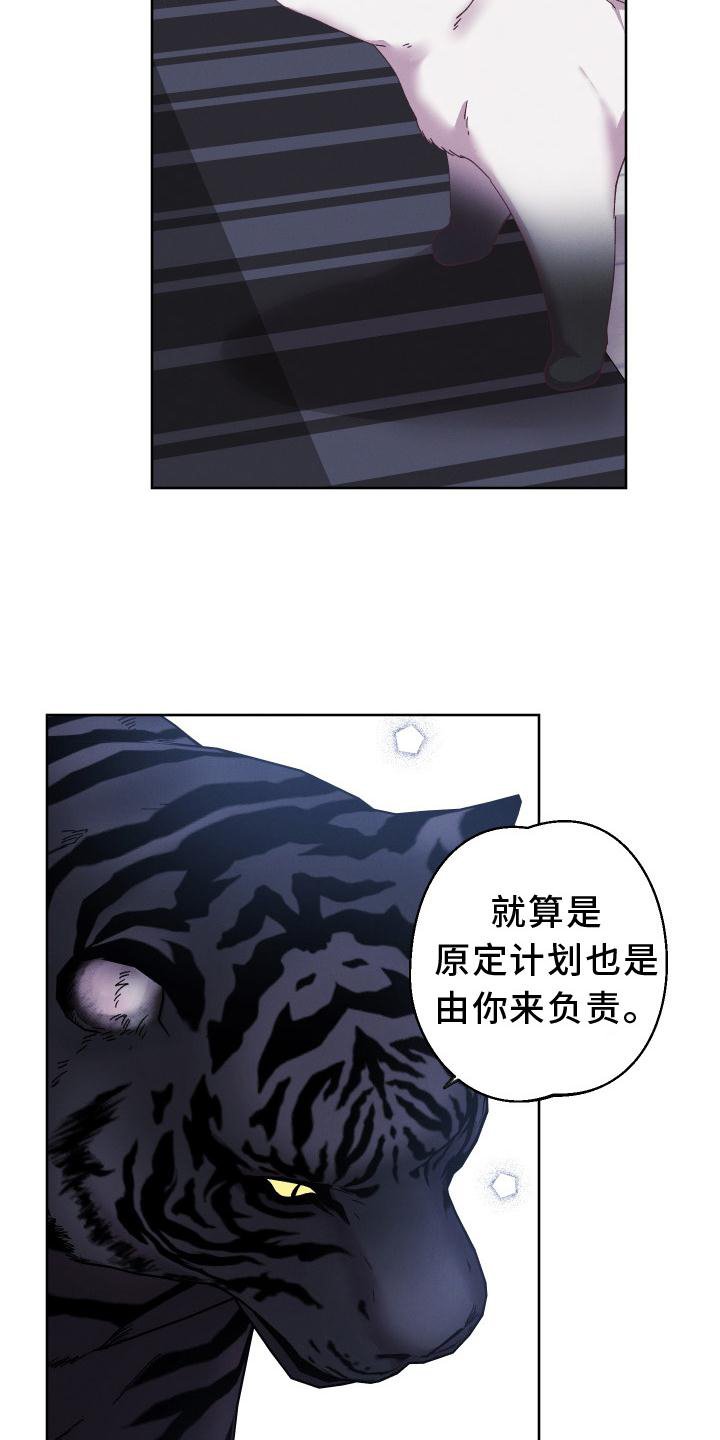 第51章：拯救