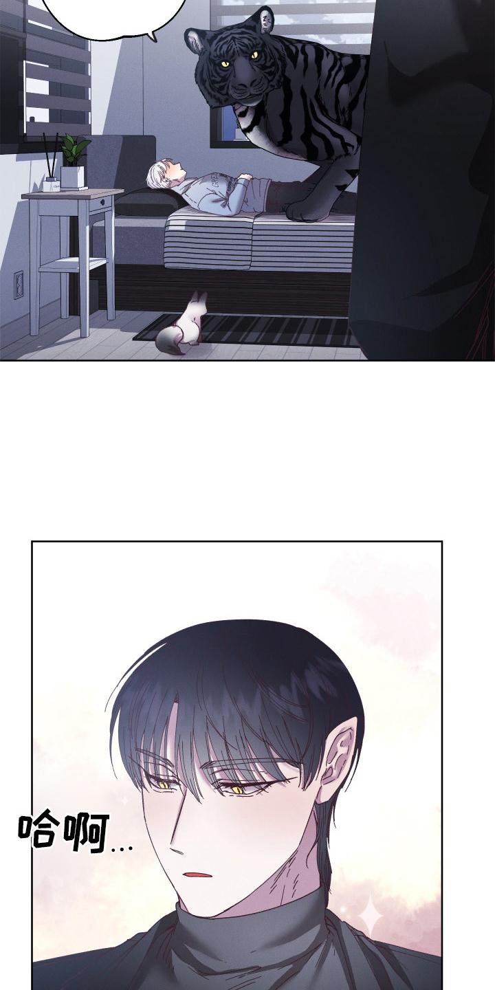 第51章：拯救