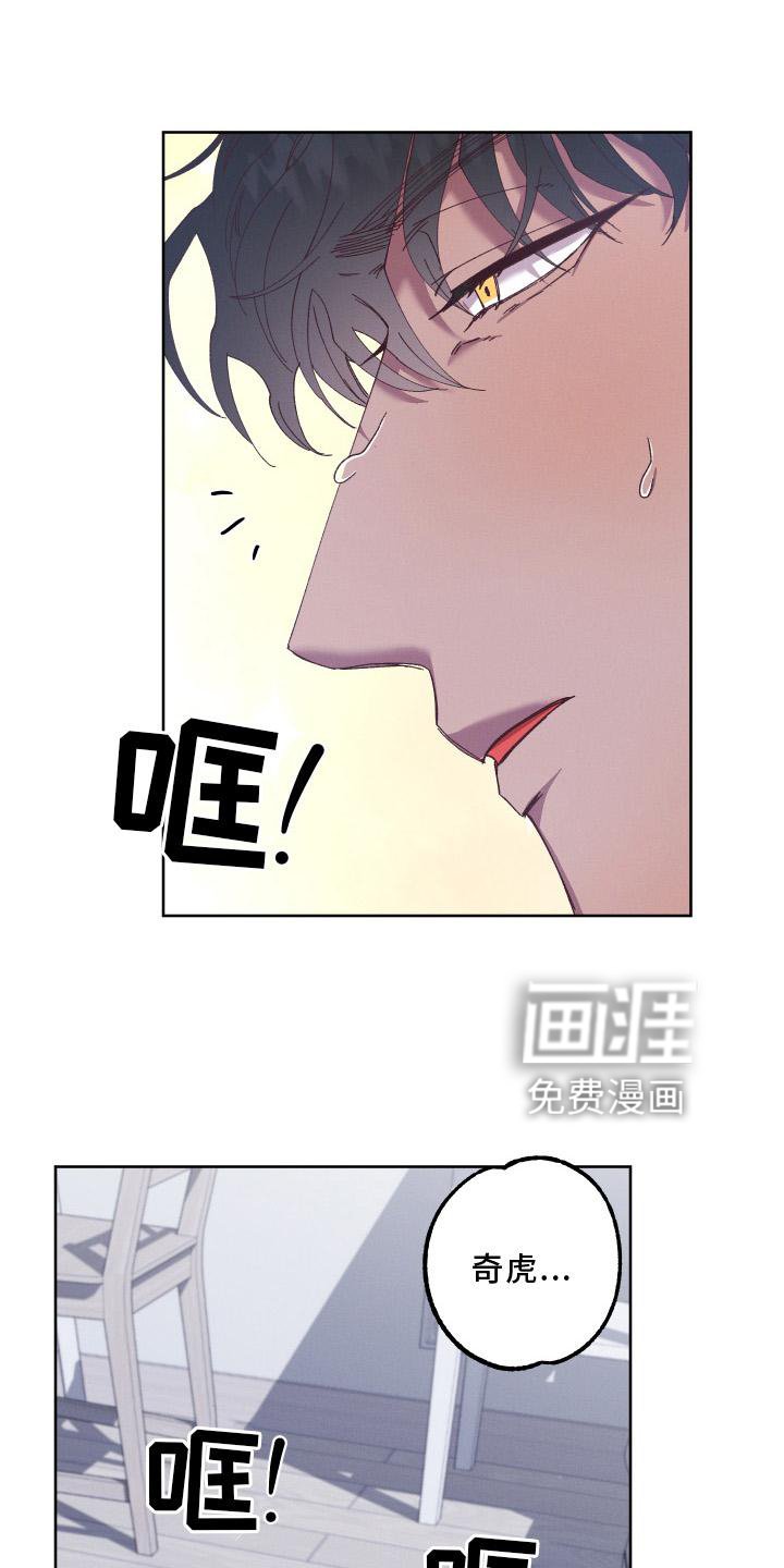第52章：守护【第一季完结】