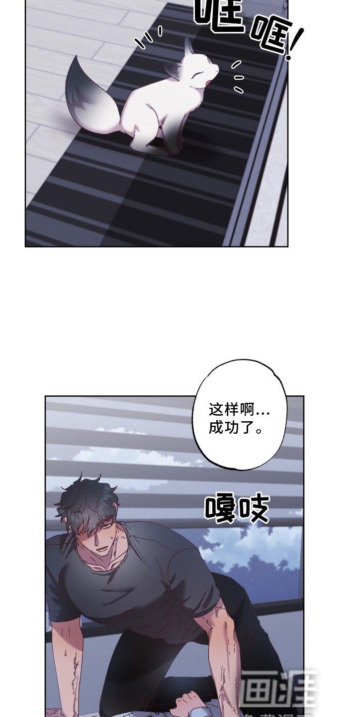 第52章：守护【第一季完结】