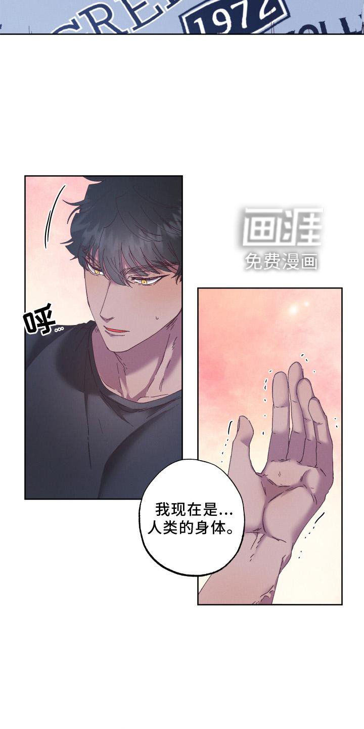 第52章：守护【第一季完结】