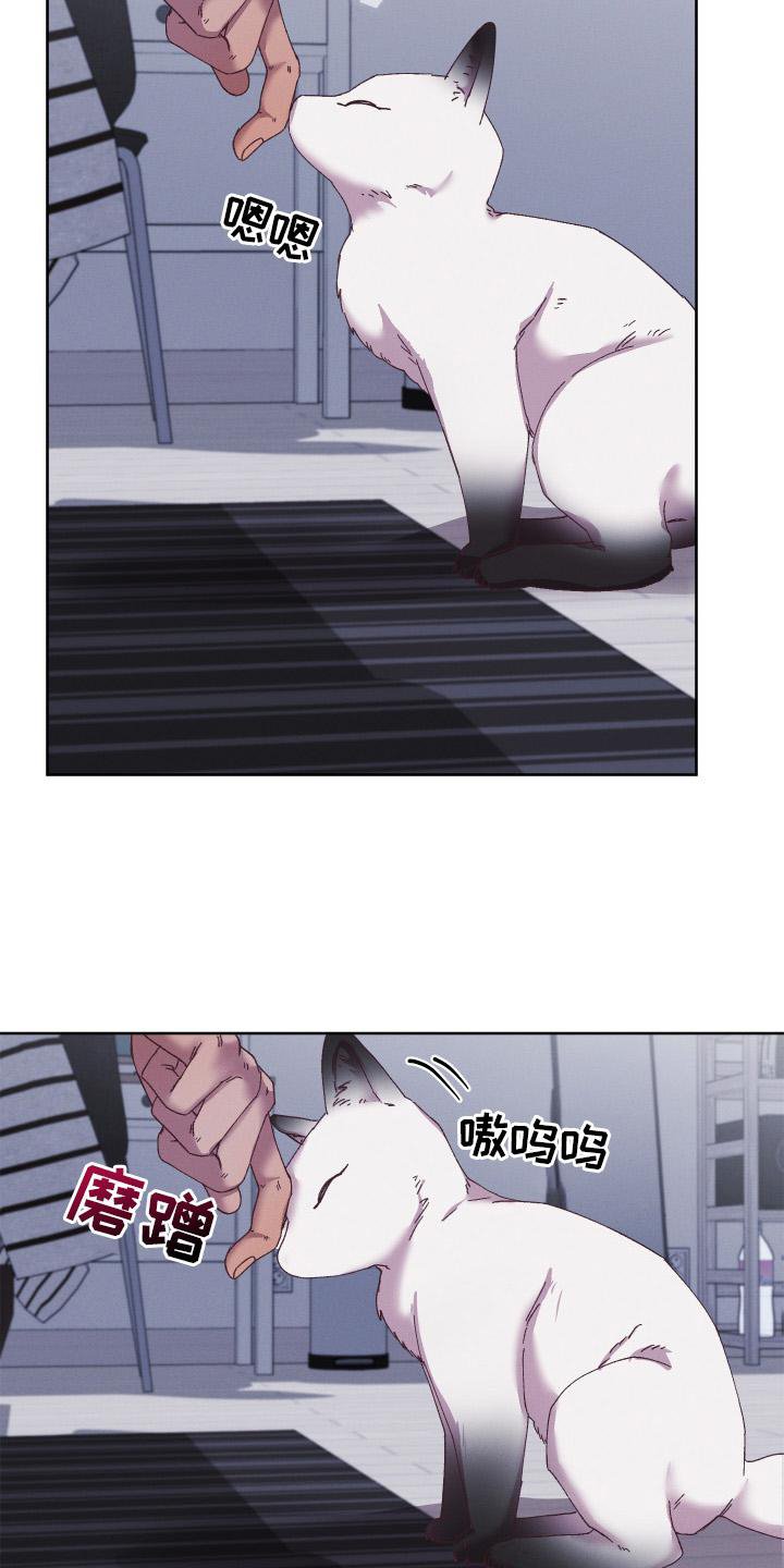 第52章：守护【第一季完结】