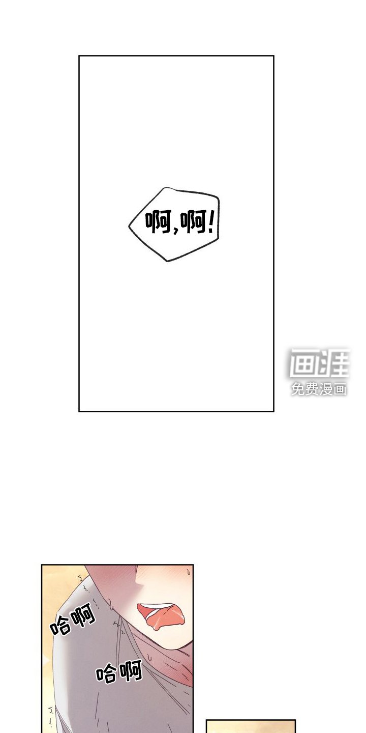 第55章：【第二季】实验