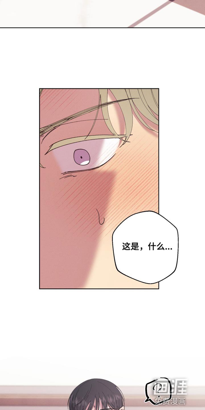 第65章：【第二季】待会再解释