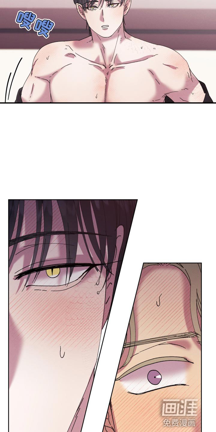 第65章：【第二季】待会再解释