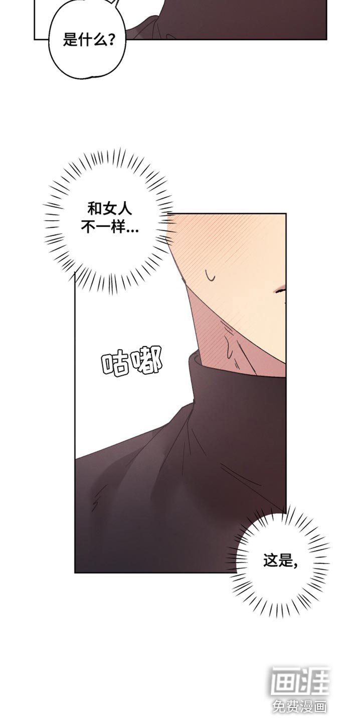 第65章：【第二季】待会再解释