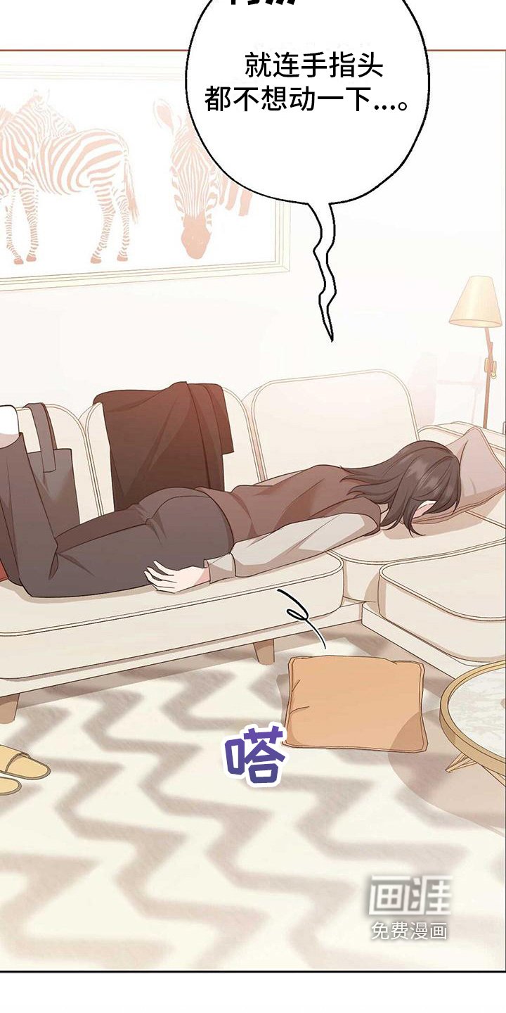 第13章：收心