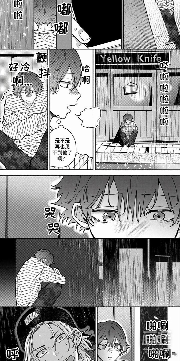 第15章：解释