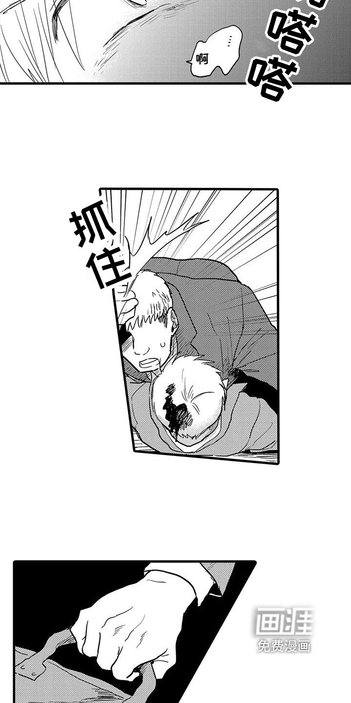第18章：反击