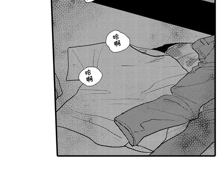 第27章：喜欢