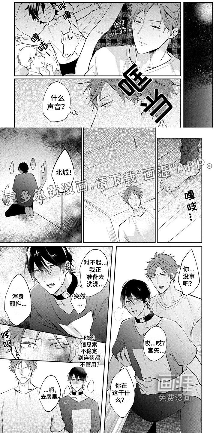 第13章：再次见面