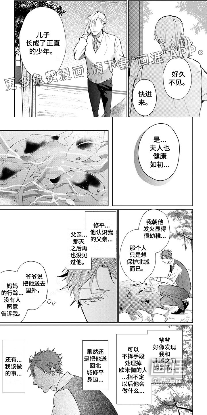第16章：帅气