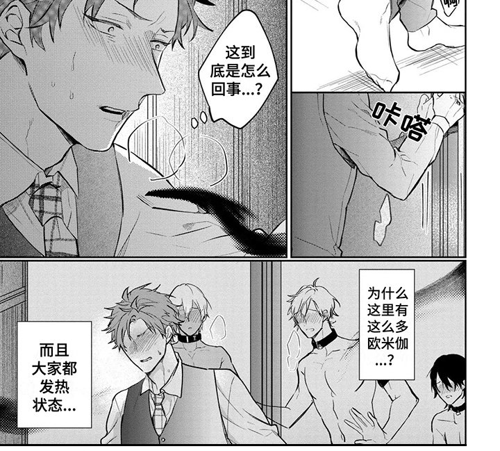 第19章：解释