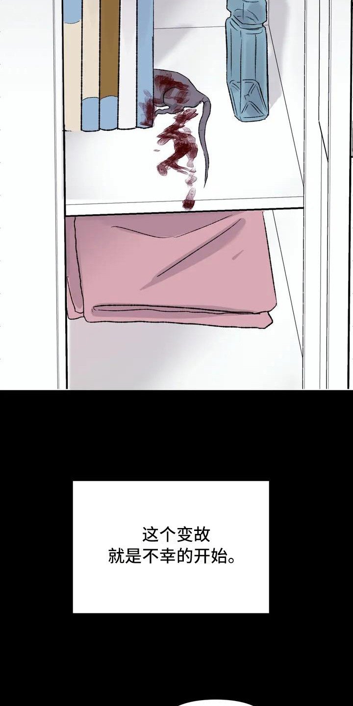 第3章：镜界暗面：不幸的开端