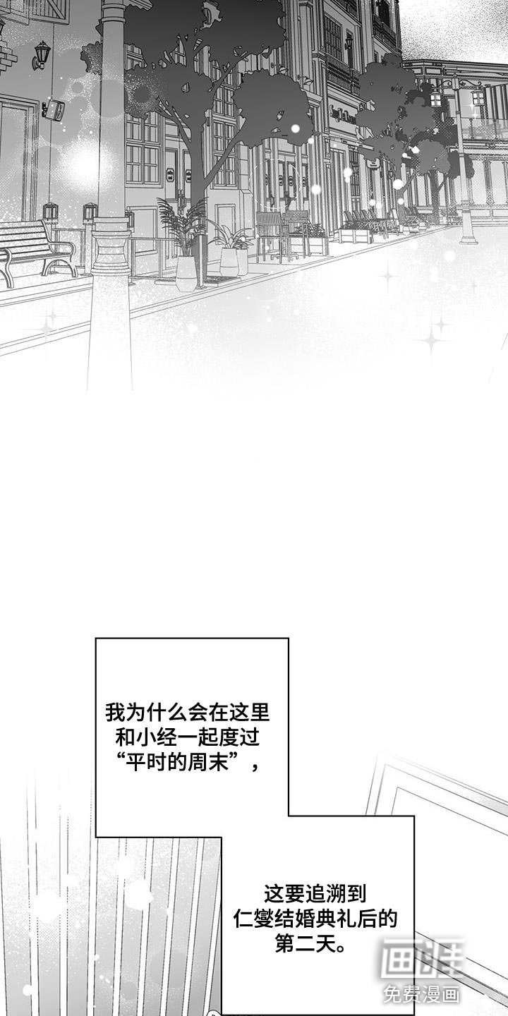 第11章：荒唐的提案