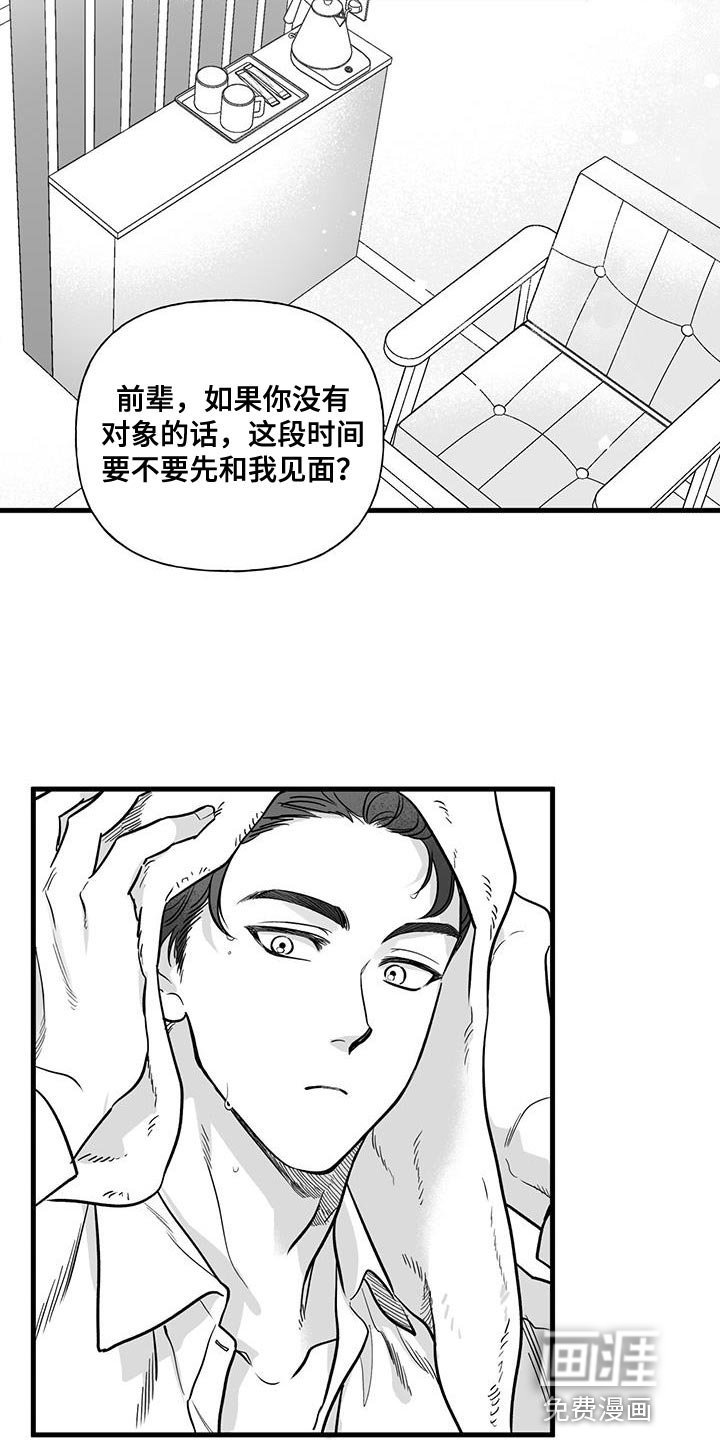 第11章：荒唐的提案