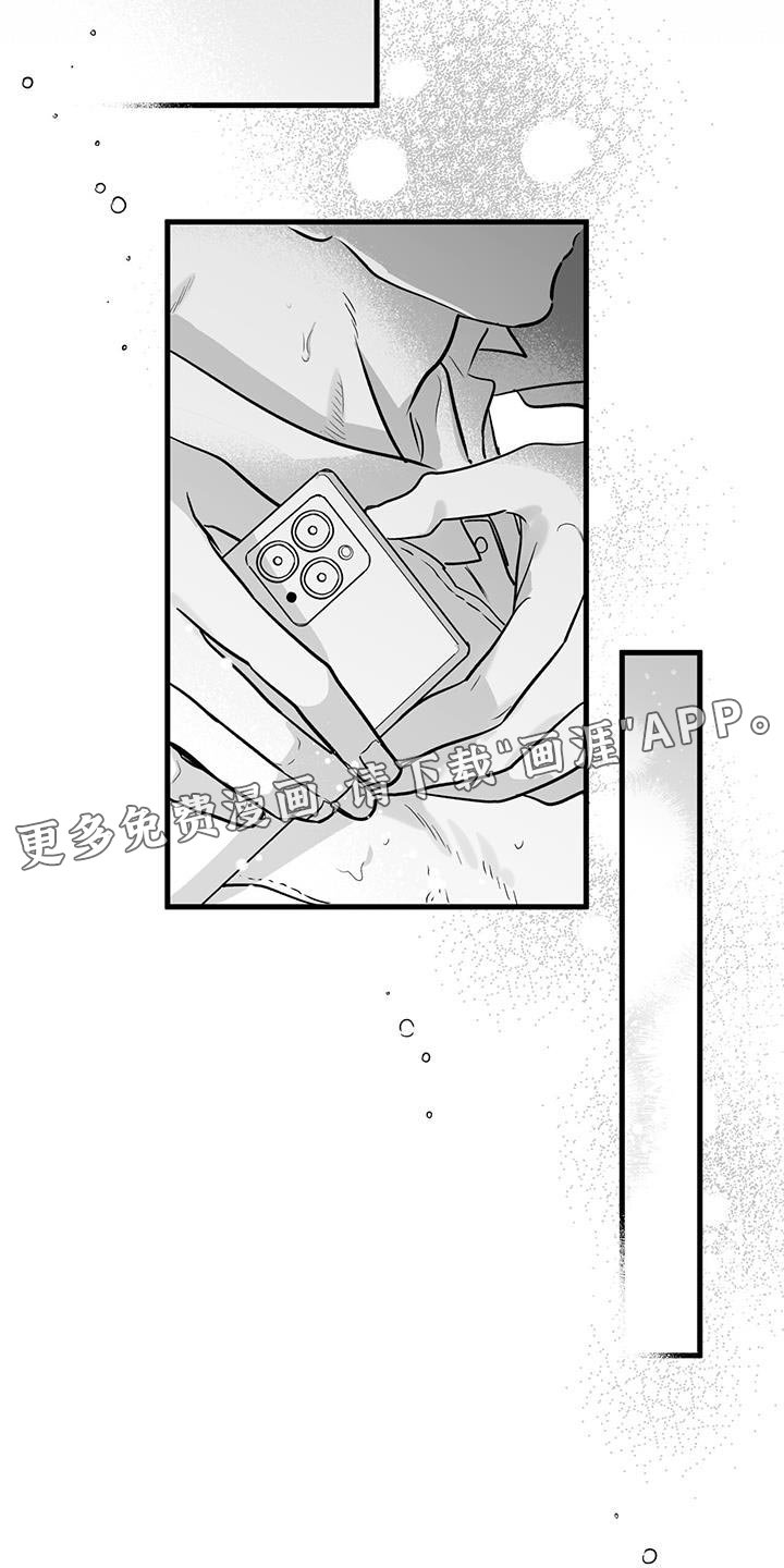 第11章：荒唐的提案