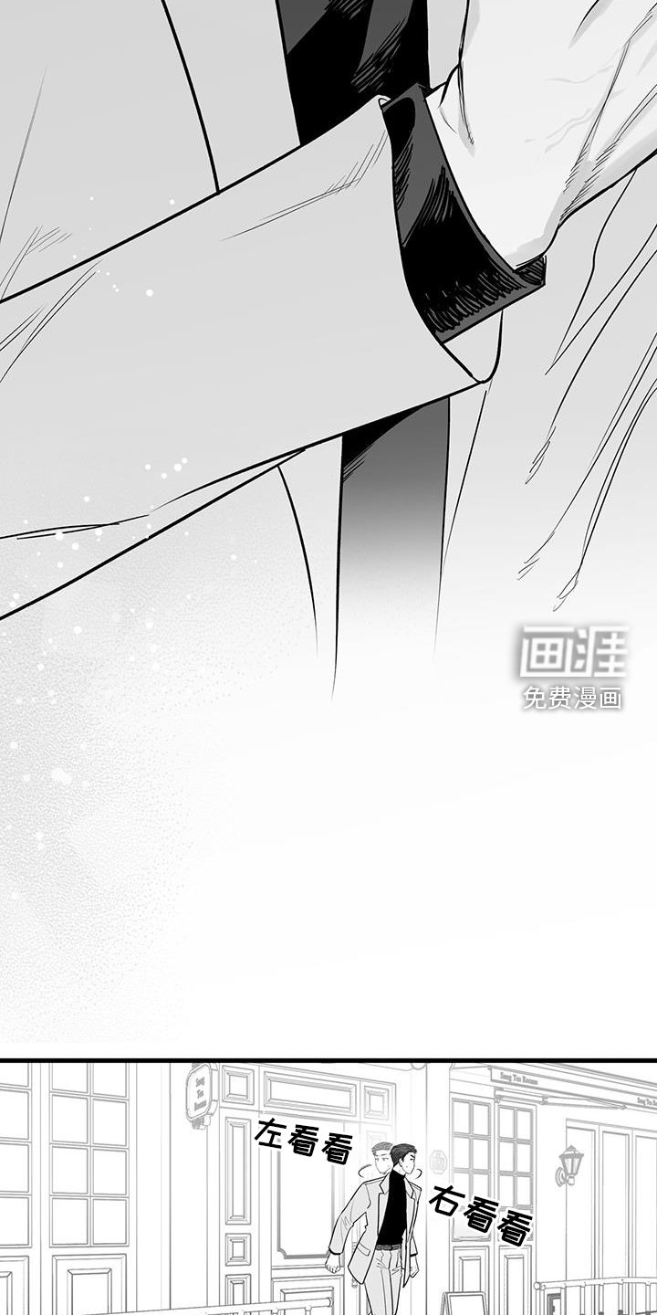 第20章：见面