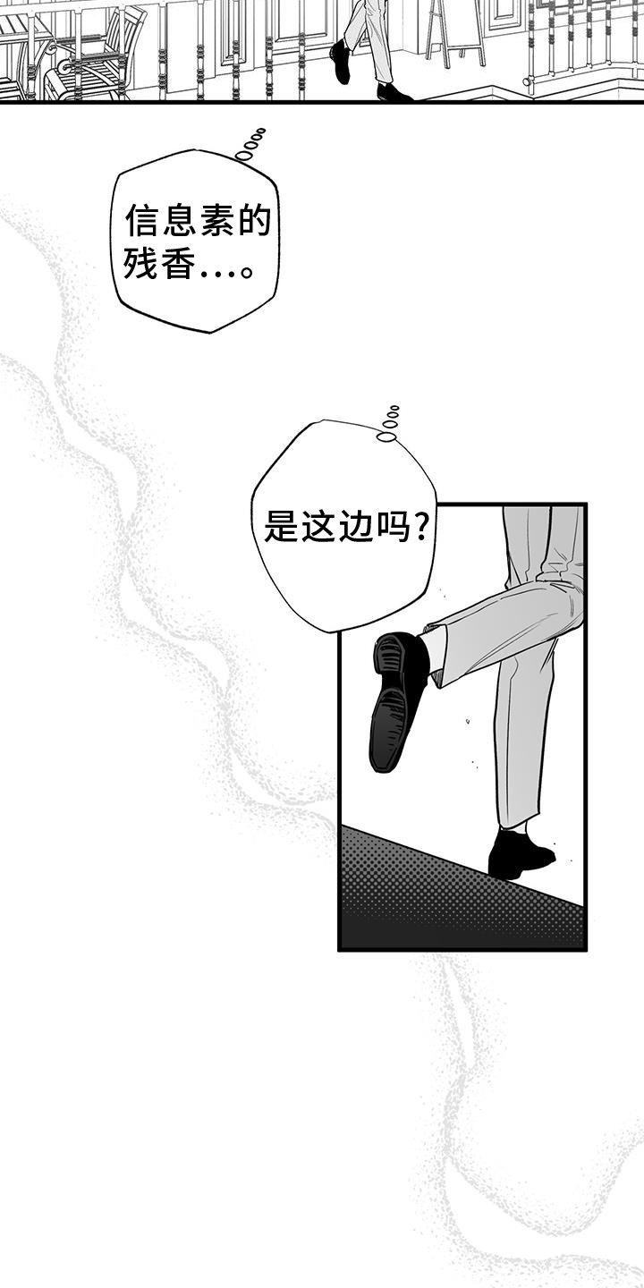 第20章：见面