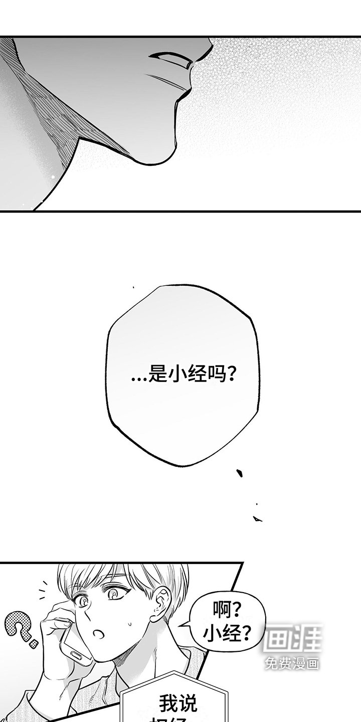 第7章：猜测