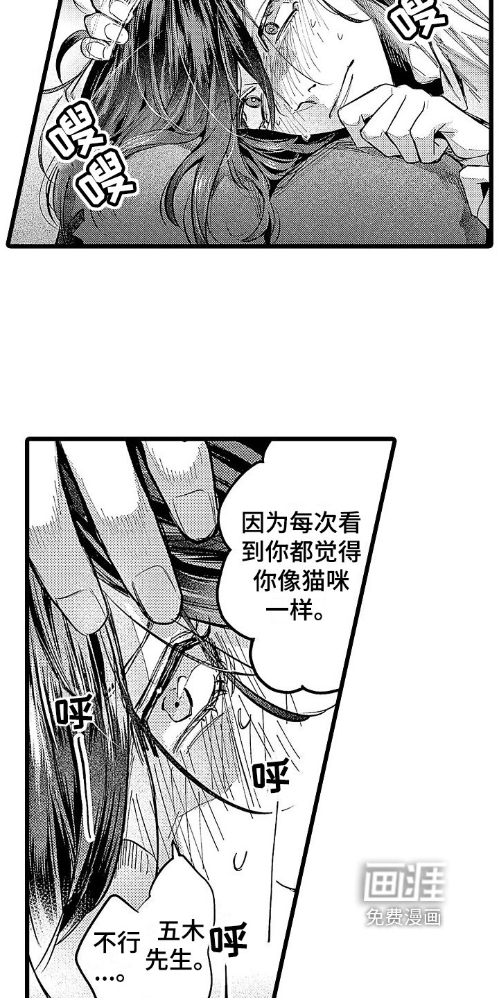 第11章：家猫