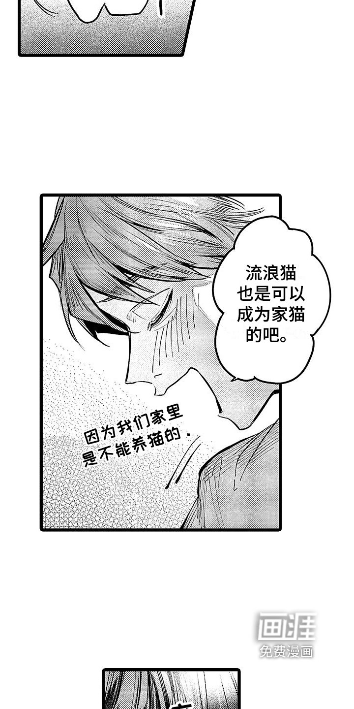 第11章：家猫