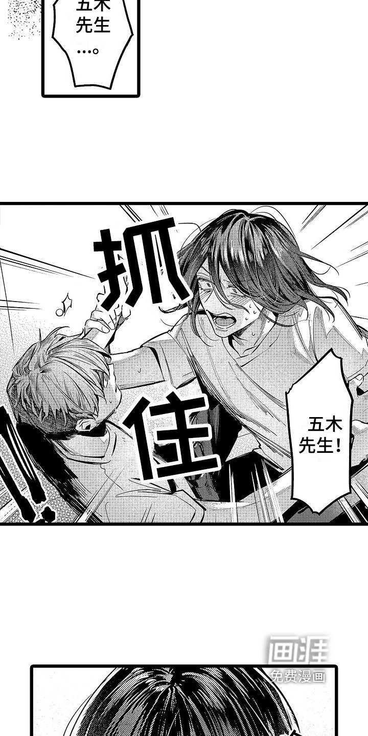 第11章：家猫