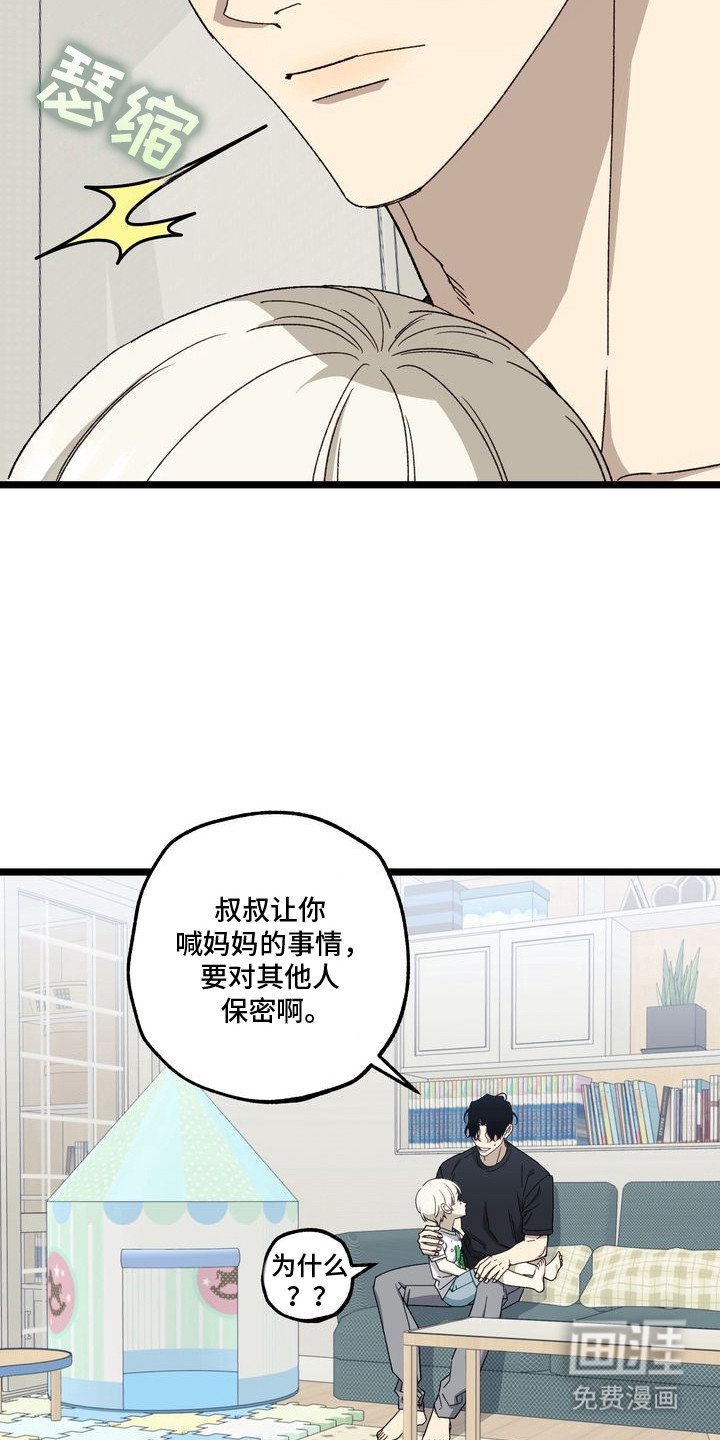 第5章：妈妈的粉丝信：想当妈妈