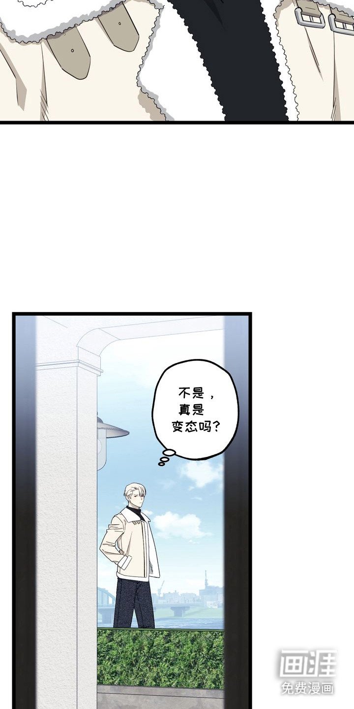 第6章：妈妈的粉丝信：重逢
