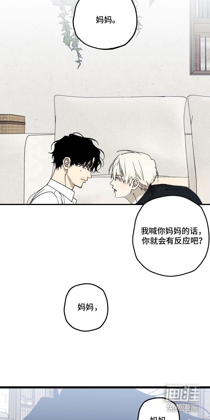 第7章：妈妈的粉丝信：谈吐成熟
