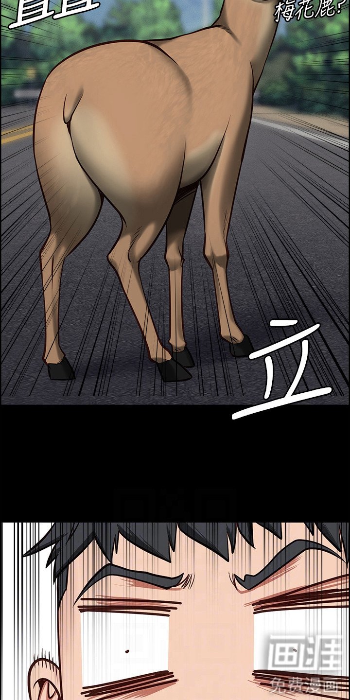 第12章：外出