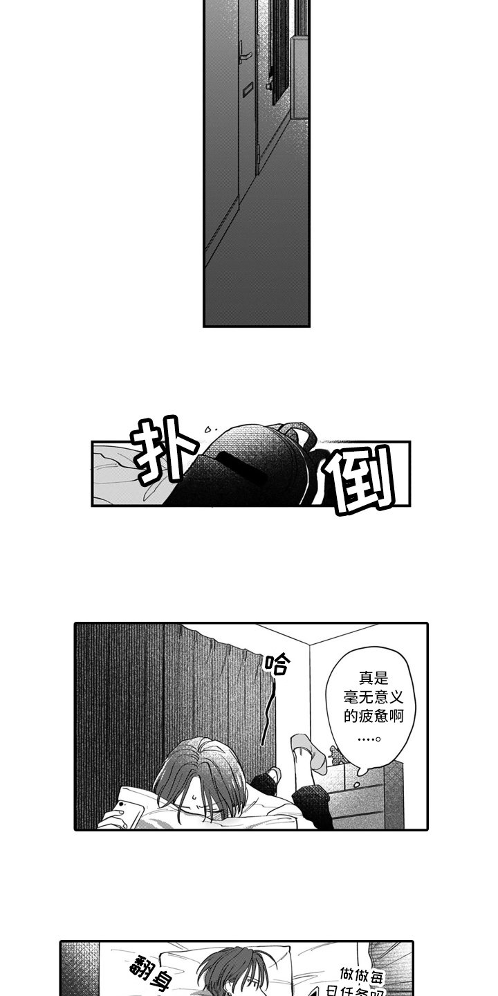 第3章：在意