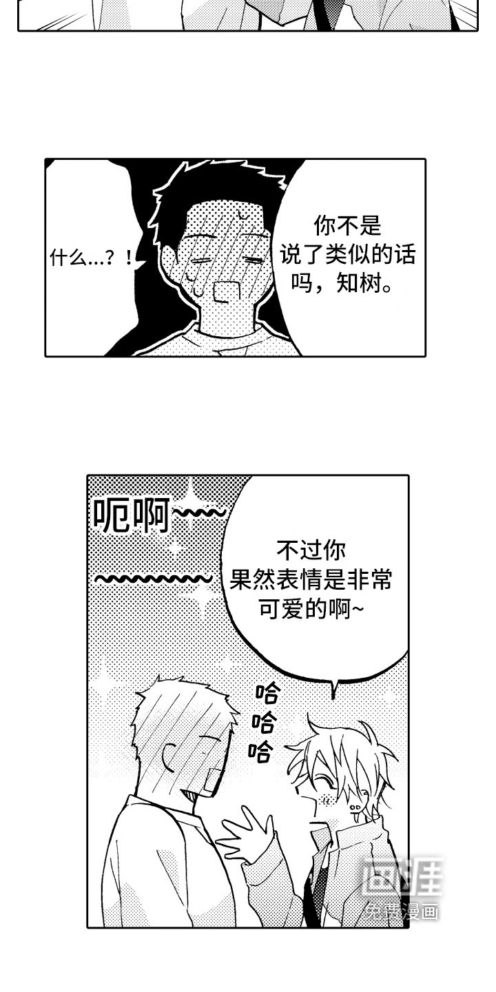 第13章：单纯