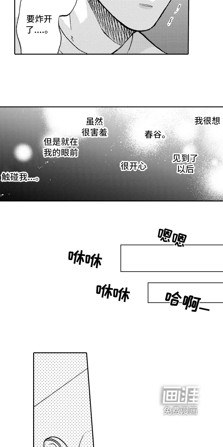 第13章：单纯