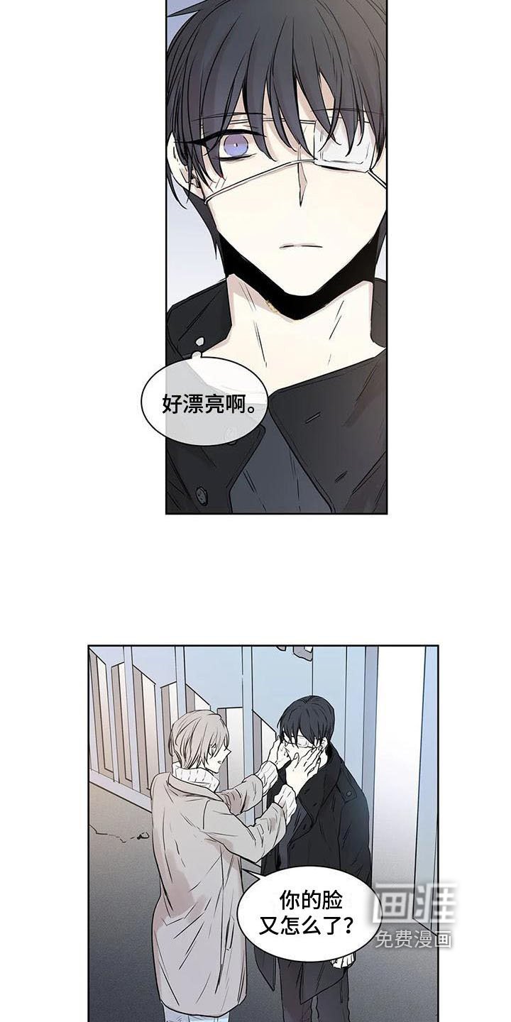 第13章：摊牌