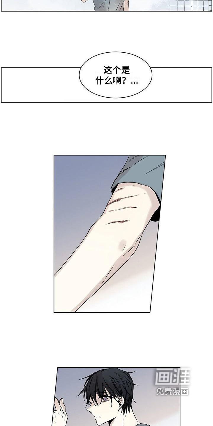 第15章：在意