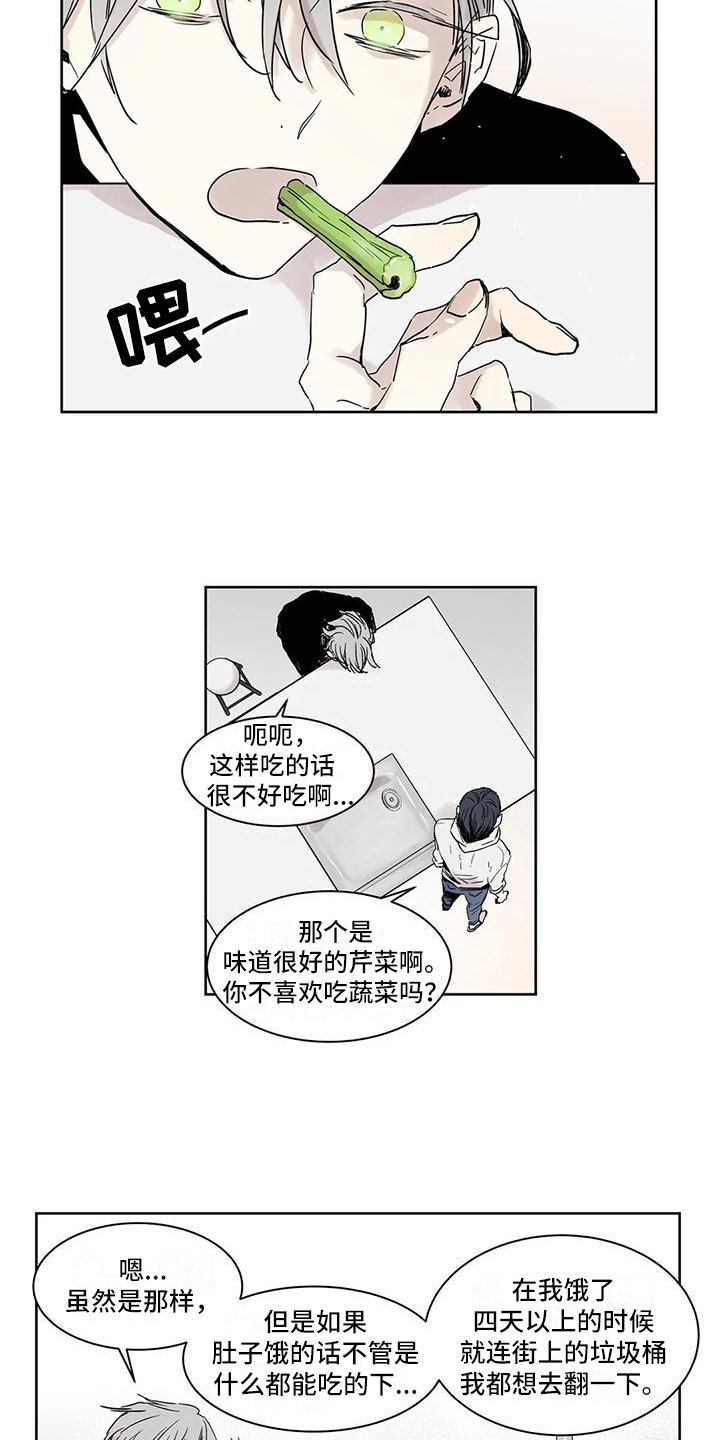 第3章：做饭
