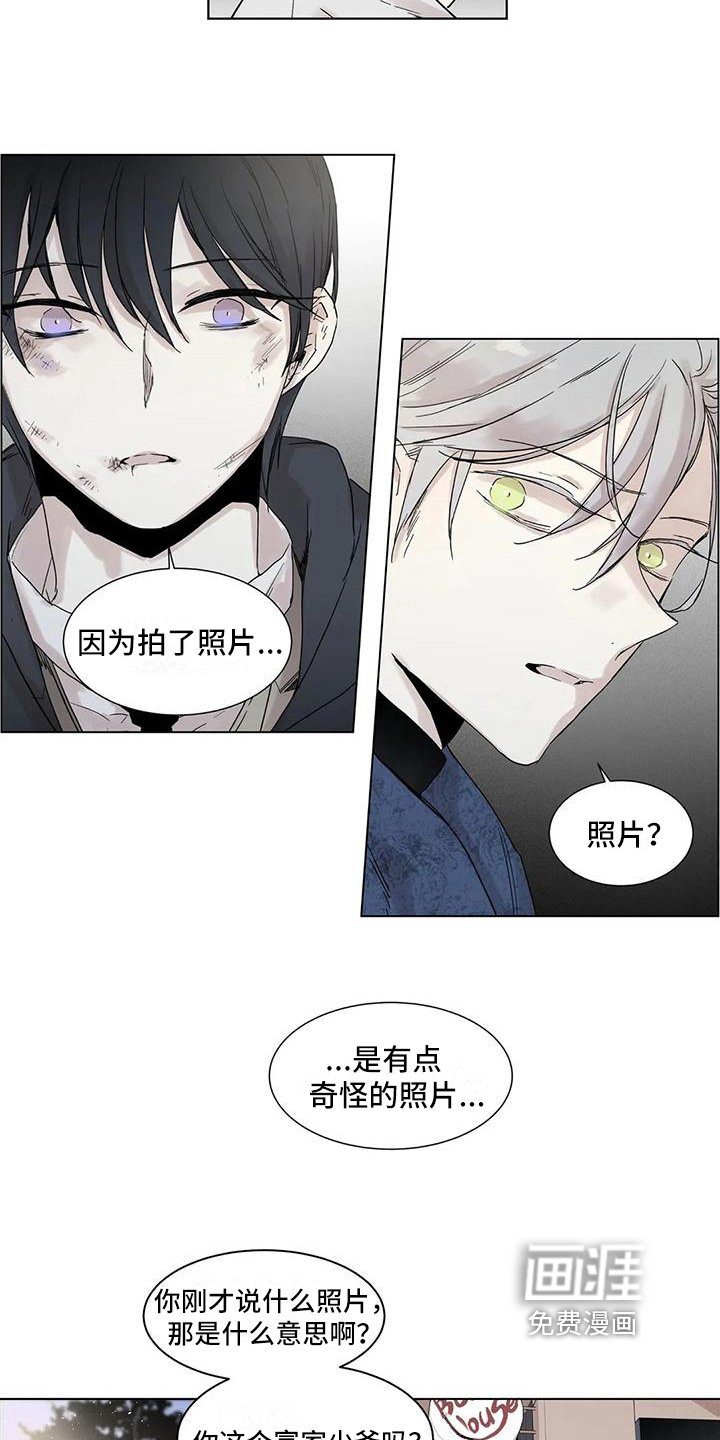 第6章：照片