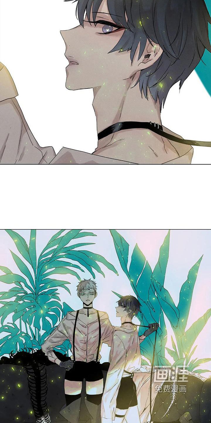 第6章：照片