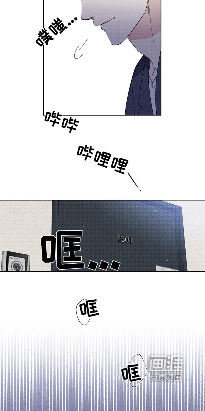 第17章：疯子